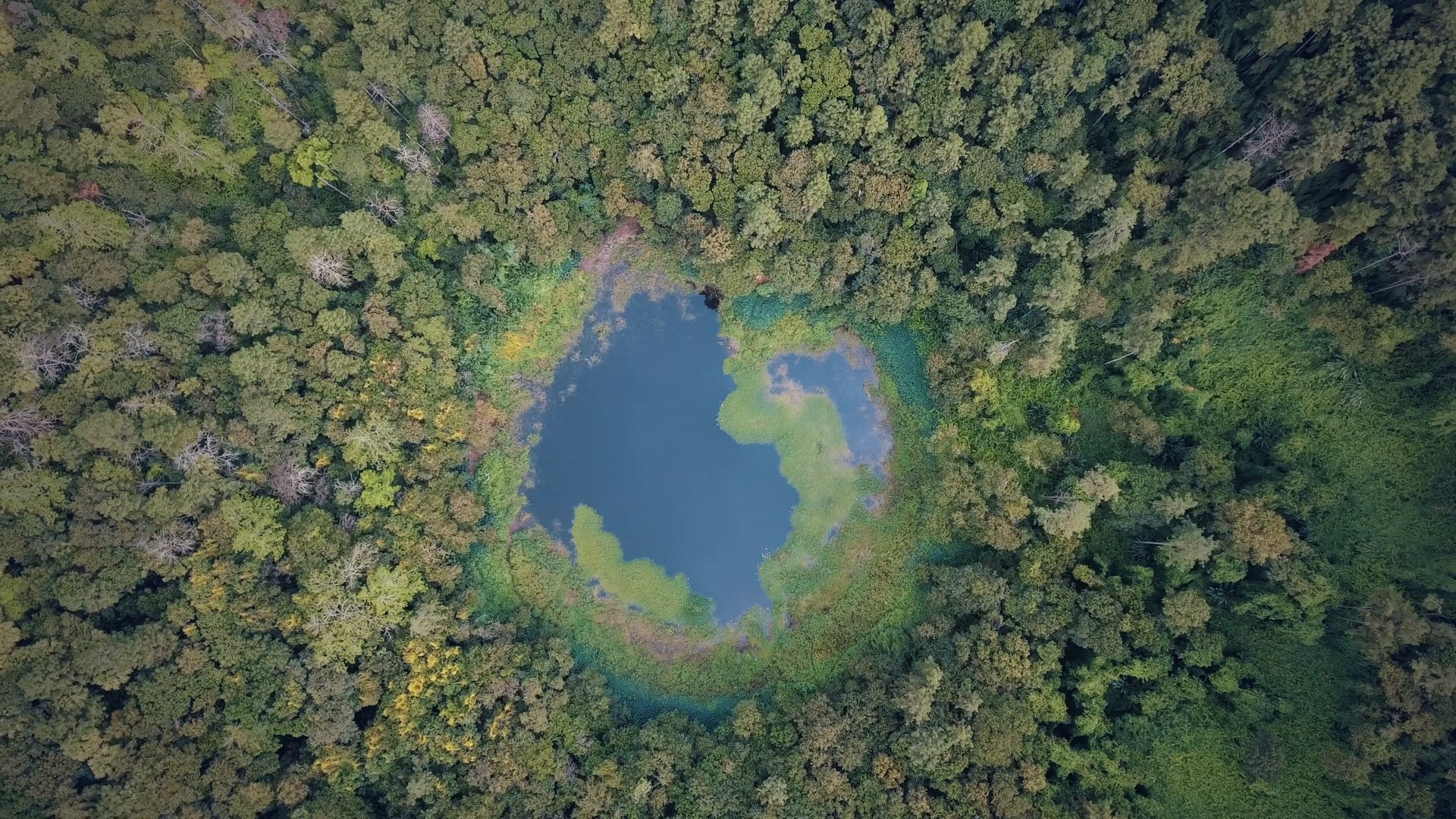 GettyImages-637663752.00_00_17_09.Still020