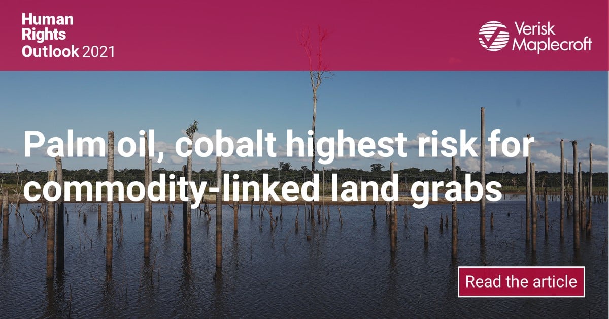Maplecroft Riskmap Palm Oil, Cobalt Highest Risk for Commodity-Linked Land Grabs | Maplecroft
