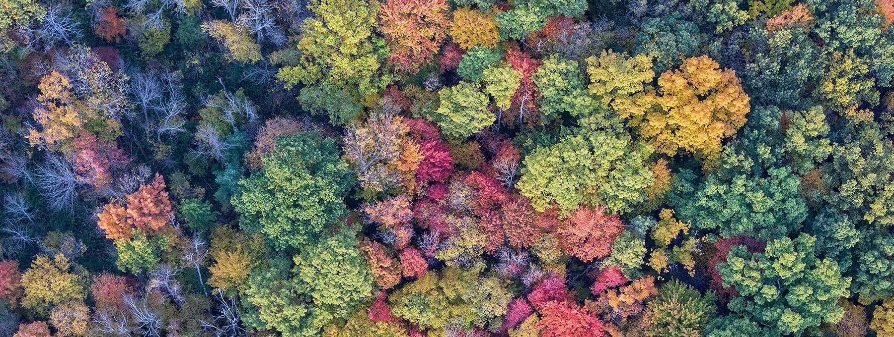 Enviro-climate change-iStock-500037552