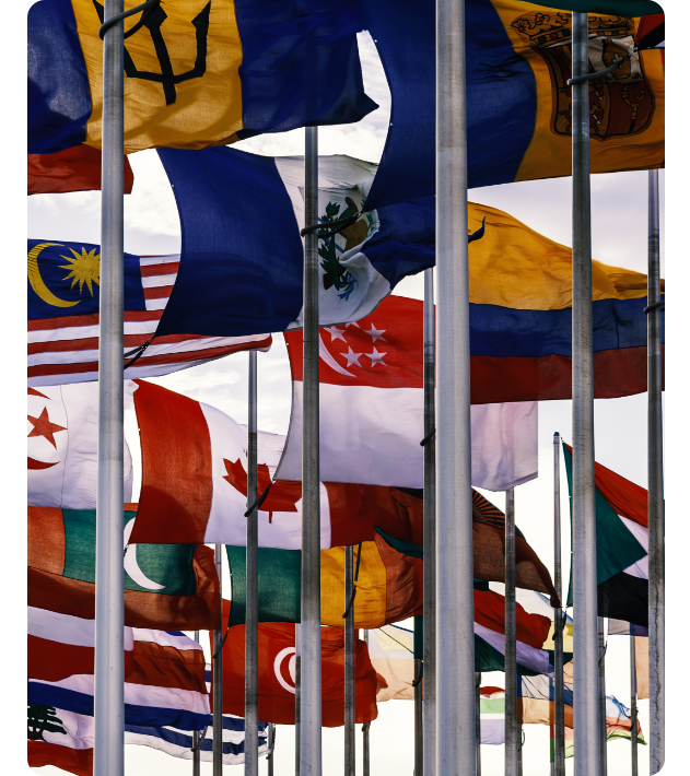 Multilateral Institutions