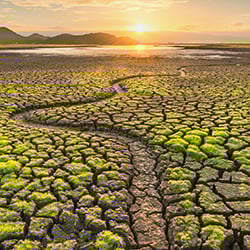 Climate change, cracked surface 