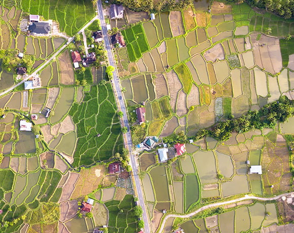 Sustainable supply chain main image - Agricultural birds-eye view