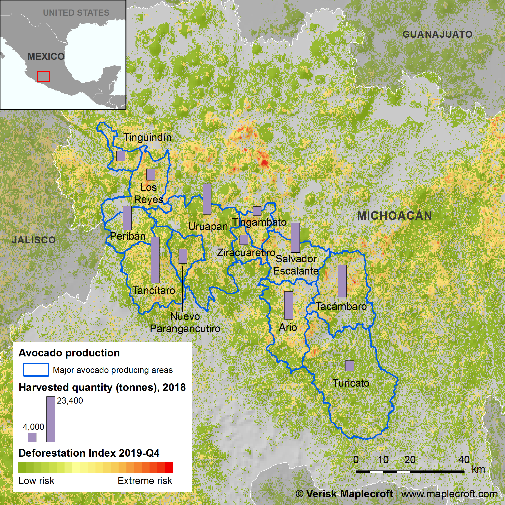 Deforestation in avocado-producing regions
