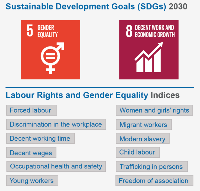 Sustainable Development Goals: Labour Rights And Gender Equality Indices