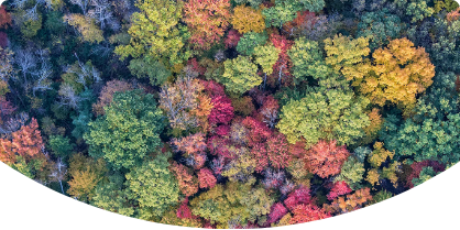 Climate Risk Assessment & Reporting main image