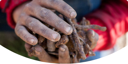 Human Rights Dataset main image