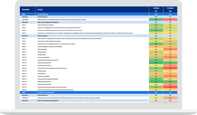 ESRS Gap Analysis Tool laptop 2