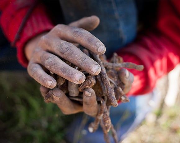 Human Rights Dataset main image - Child labour