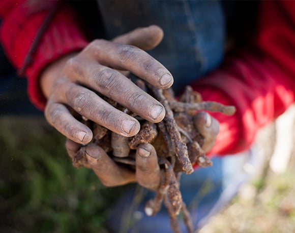 Human Rights Dataset main image - Child labour